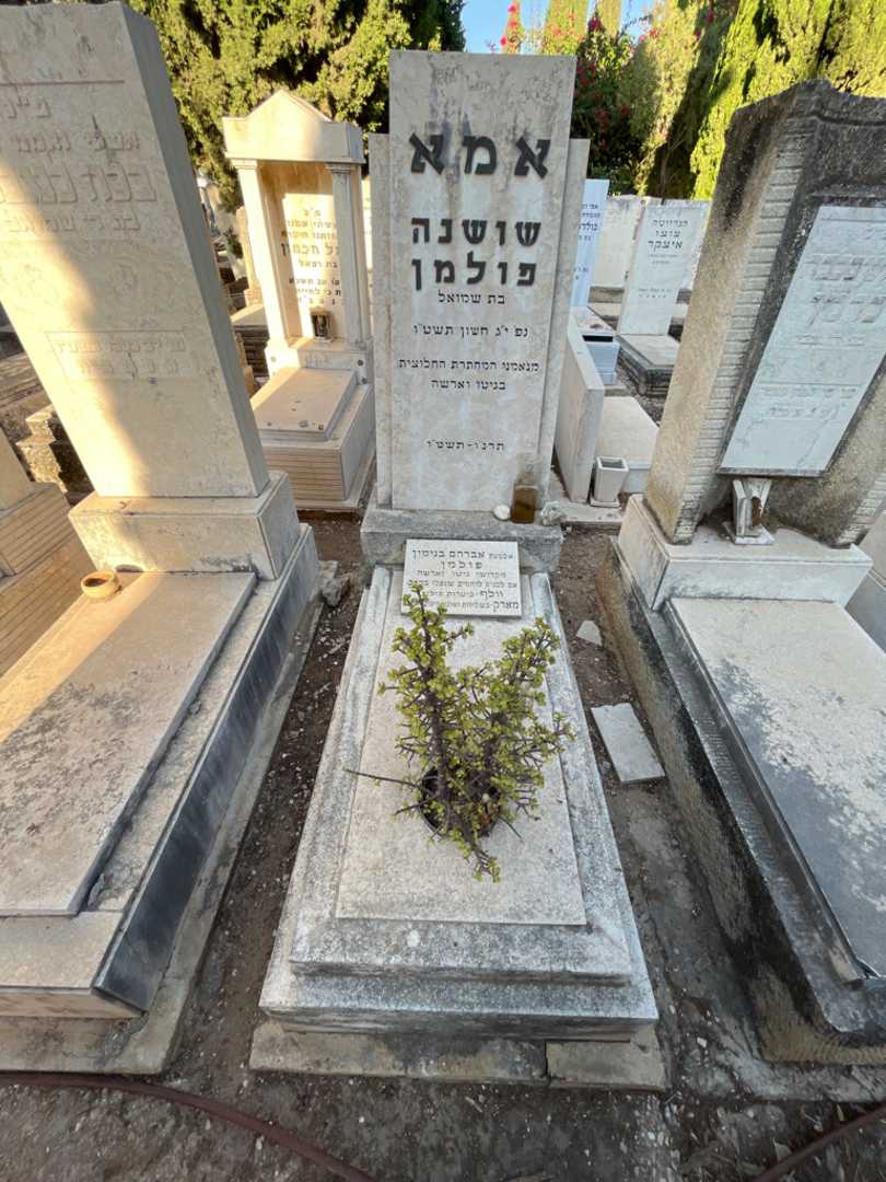 קברו של שושנה פולמן