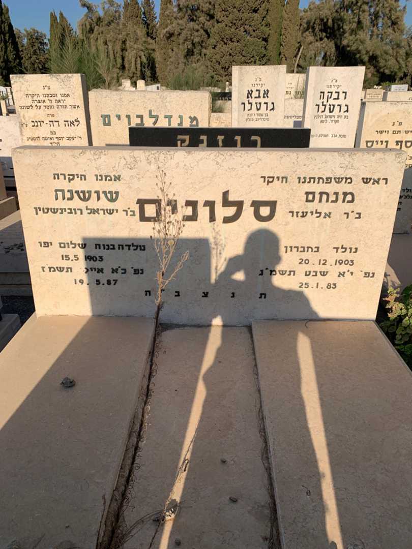 קברו של שושנה סלונים. תמונה 1