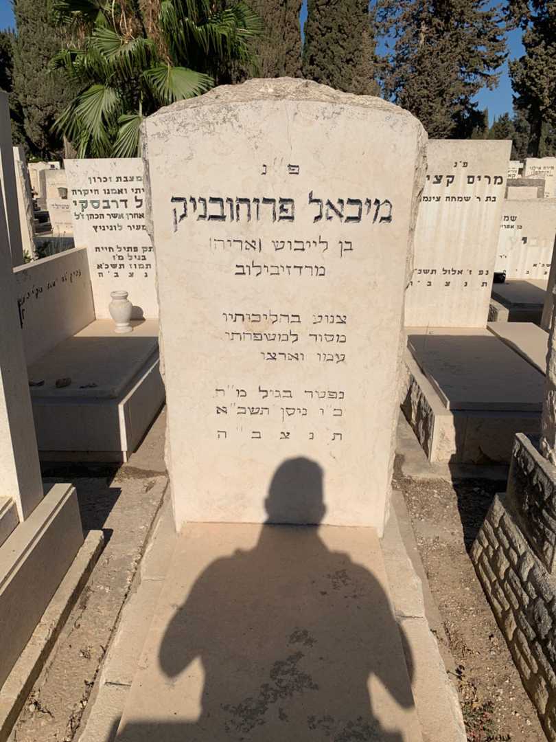 קברו של מיכאל פרוחובניק