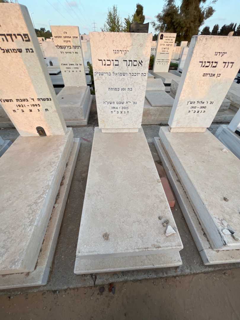 קברו של אסתר בוכנר. תמונה 1