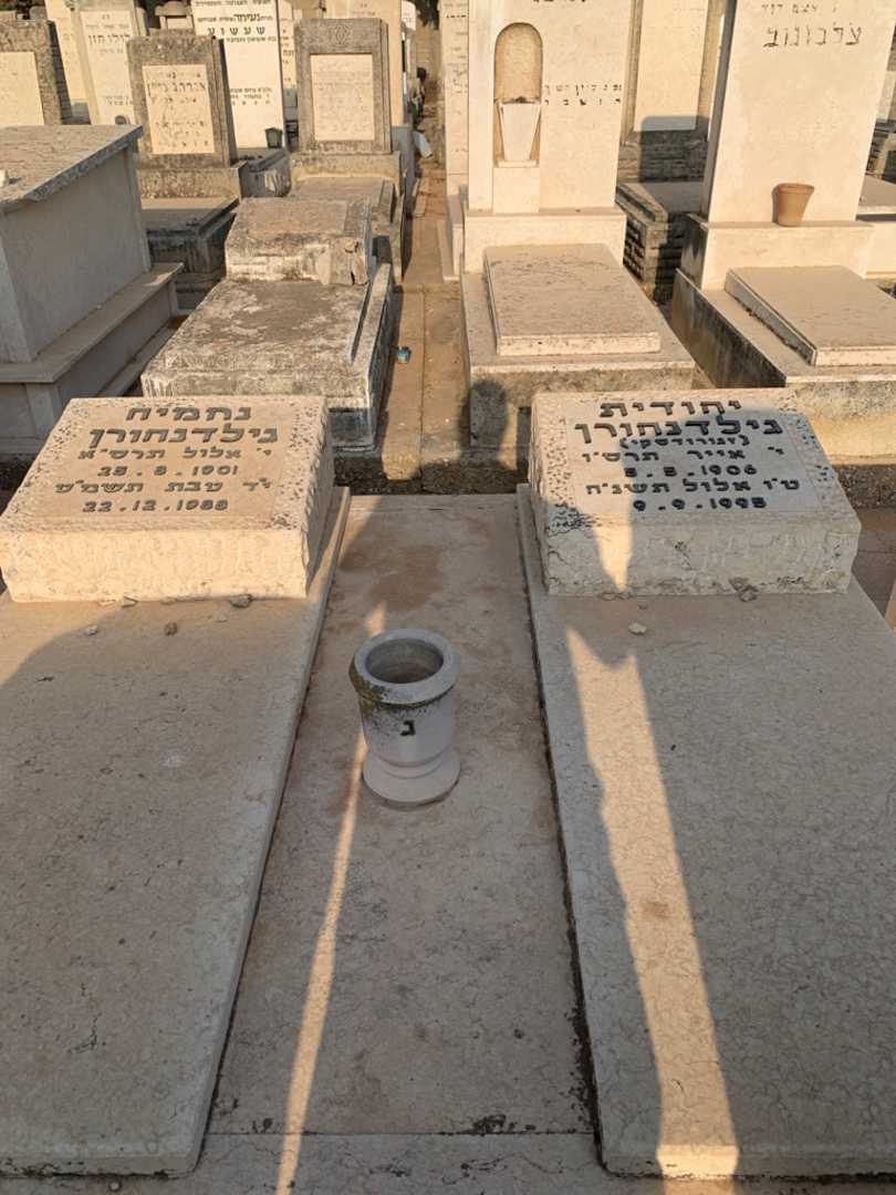 קברו של נחמיה גילדנהורן. תמונה 1