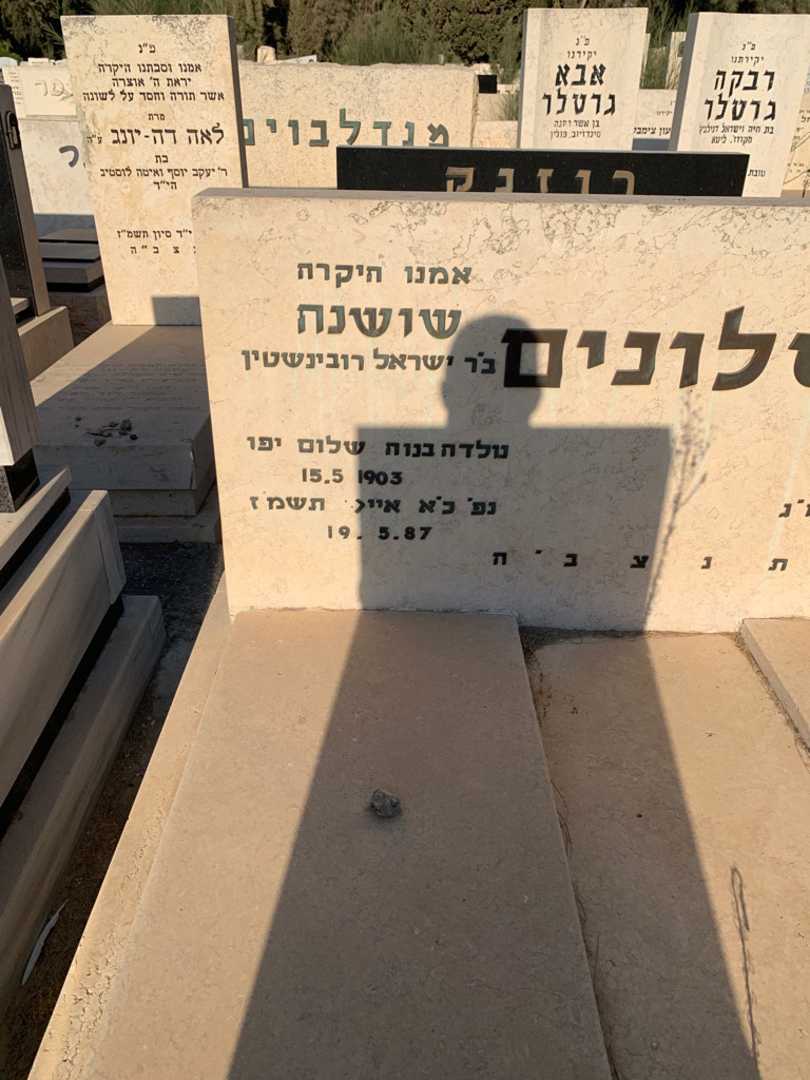 קברו של שושנה סלונים. תמונה 2