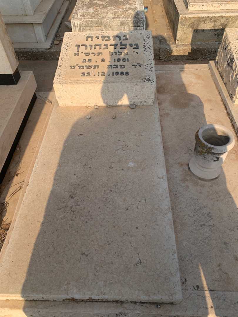 קברו של נחמיה גילדנהורן. תמונה 2