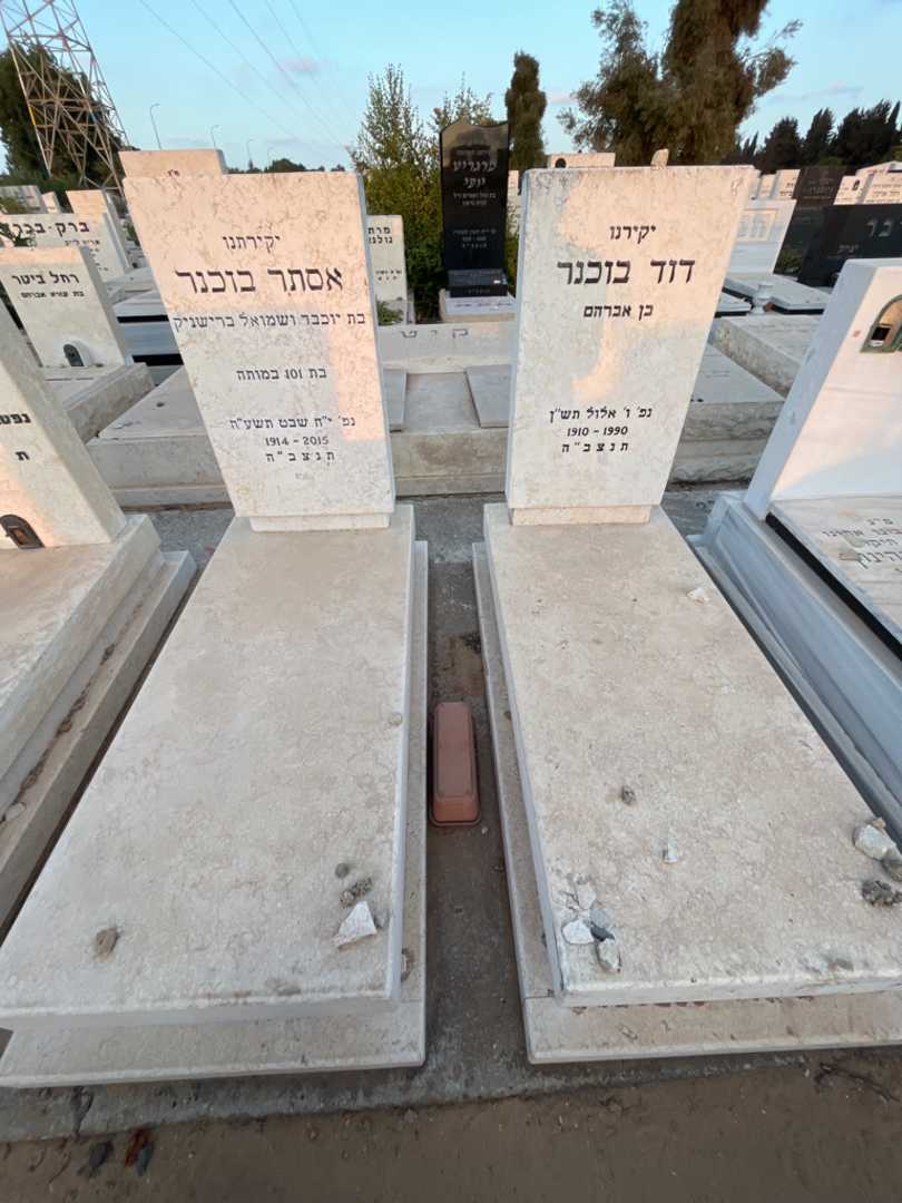 קברו של אסתר בוכנר. תמונה 2