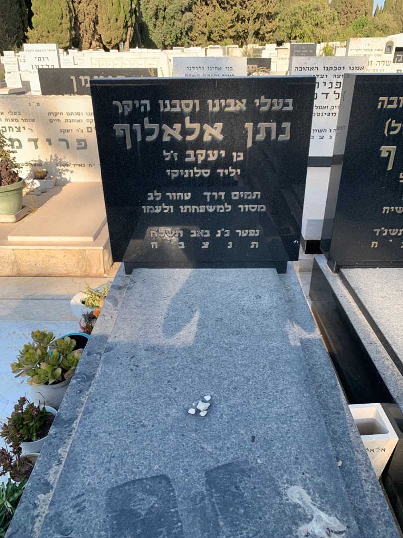 קברו של נתן אלאלוף