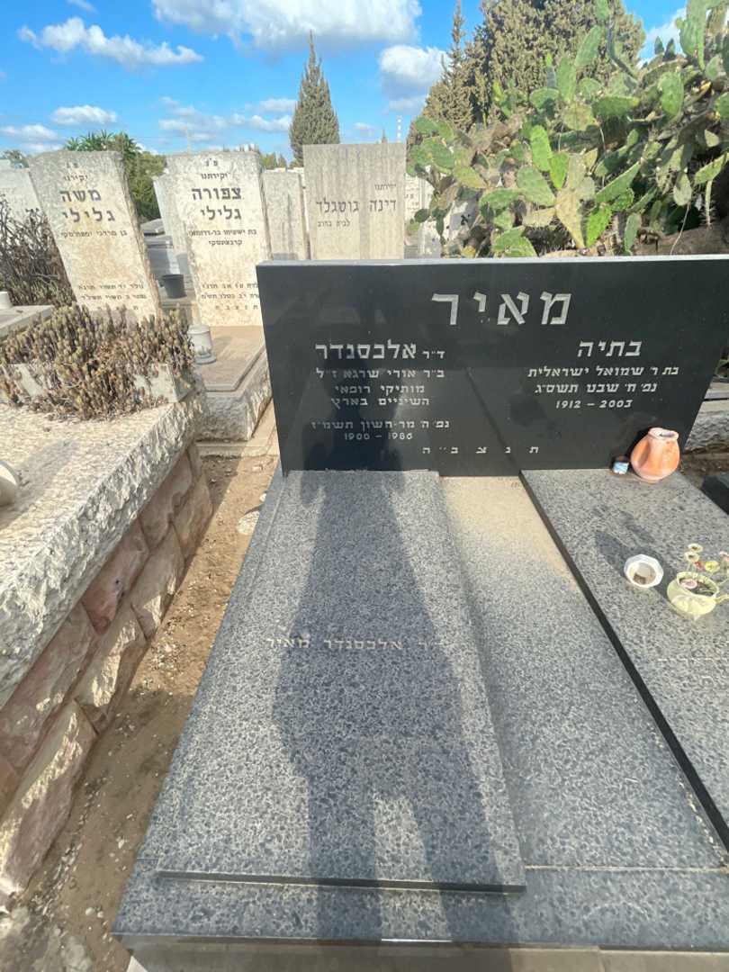 קברו של אלכסנדר מאיר. תמונה 2