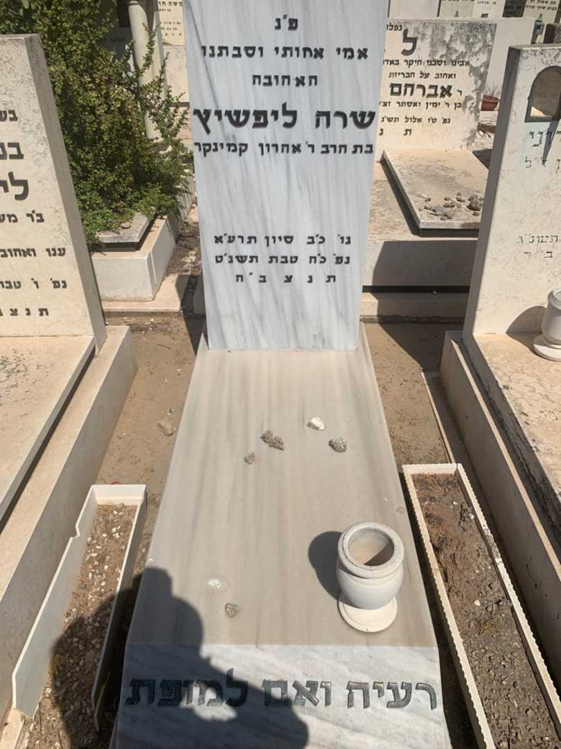 קברו של שרה ליפשיץ