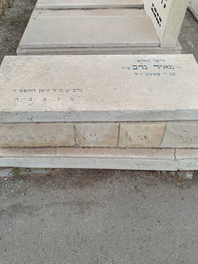 קברו של מאיר נדב