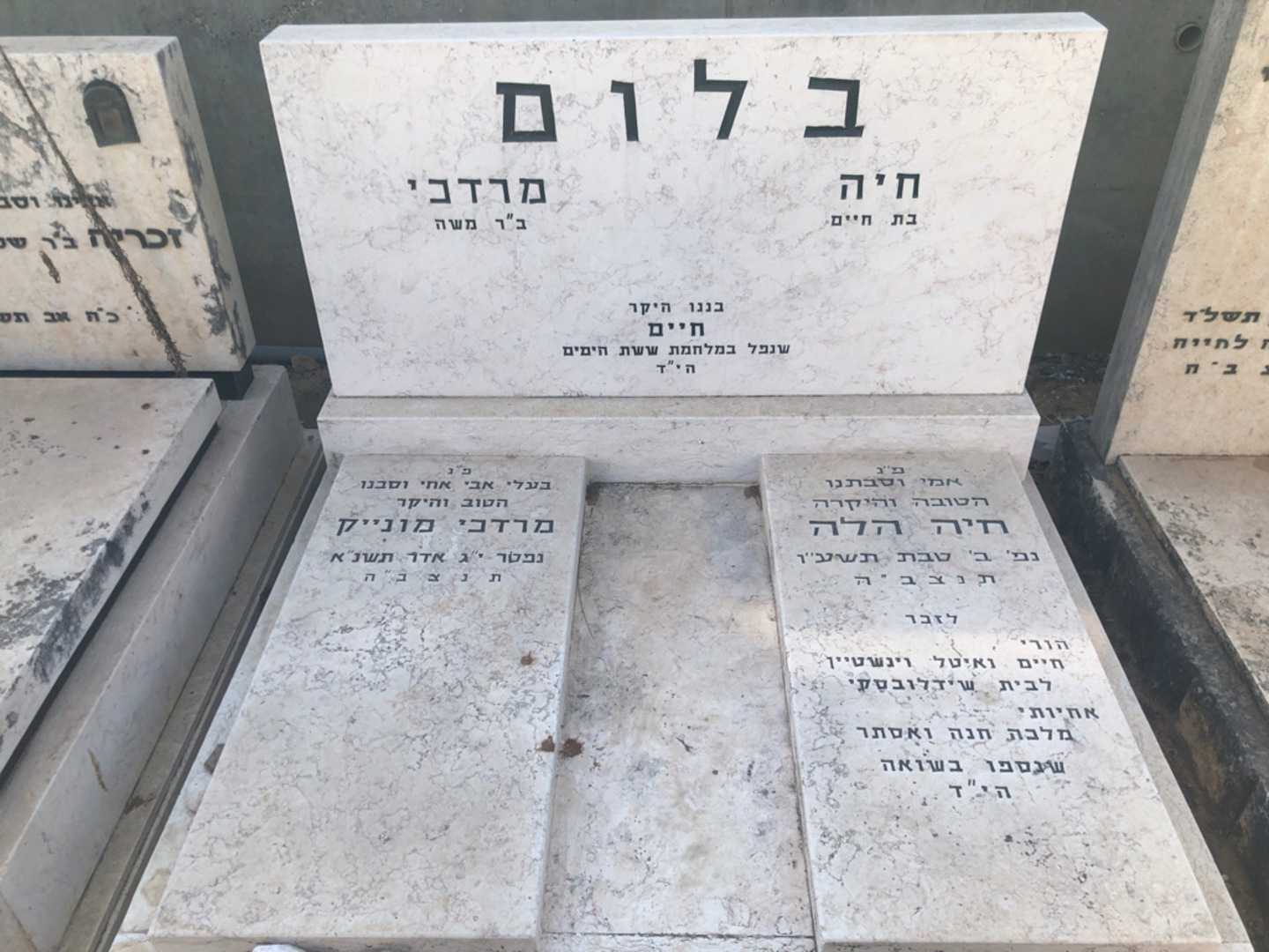 קברו של חיים וינשטיין. תמונה 1
