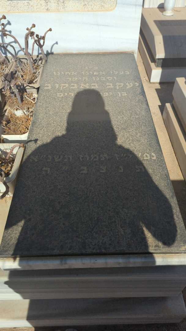 קברו של יעקב באבקוב. תמונה 1