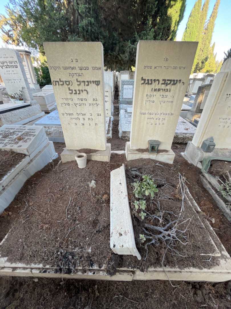 קברו של יעקב "בורסא" רינגל בורסא. תמונה 2