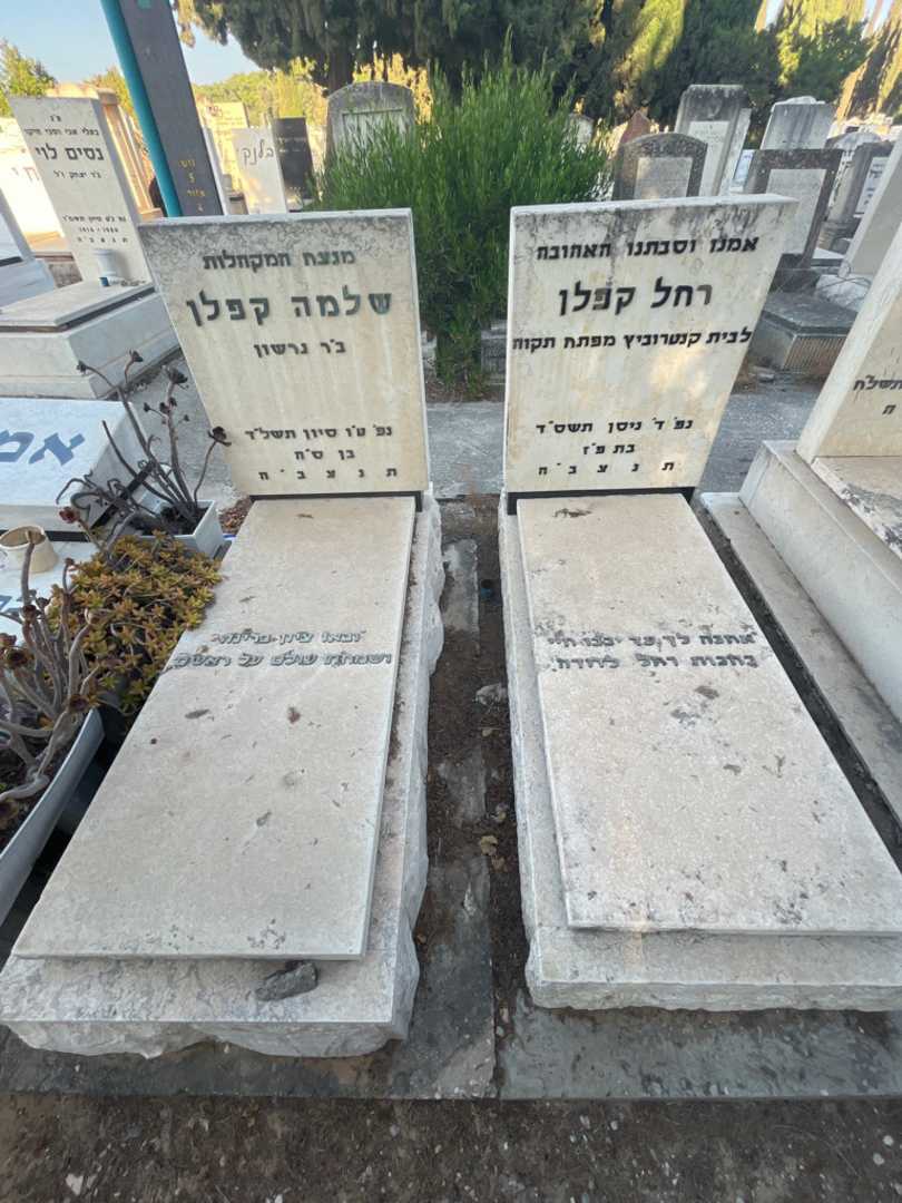 קברו של רחל קפלן. תמונה 2
