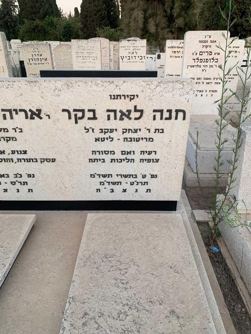 קברו של חנה לאה בקר. תמונה 2