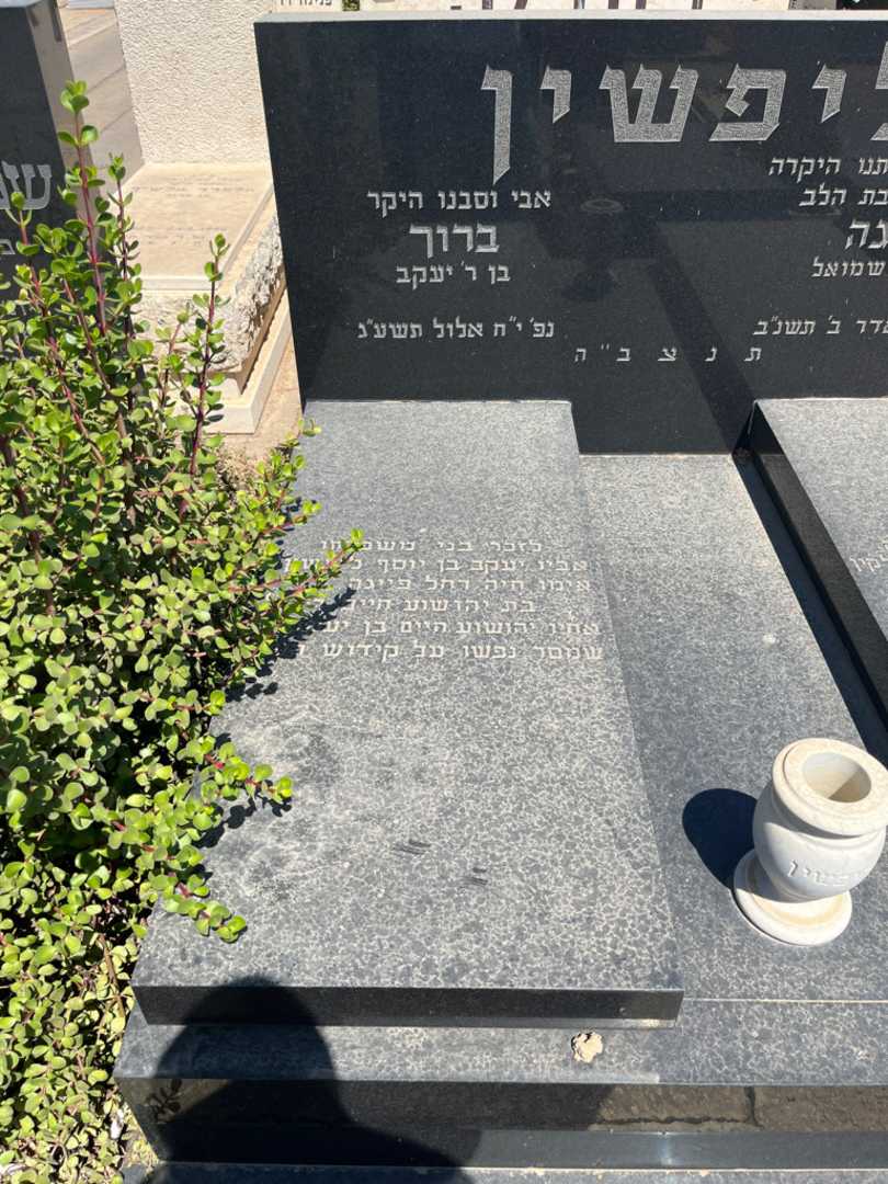 קברו של יעקב ליפשין. תמונה 2