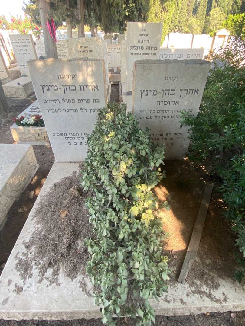 קברו של אדית כהן-מינץ. תמונה 2