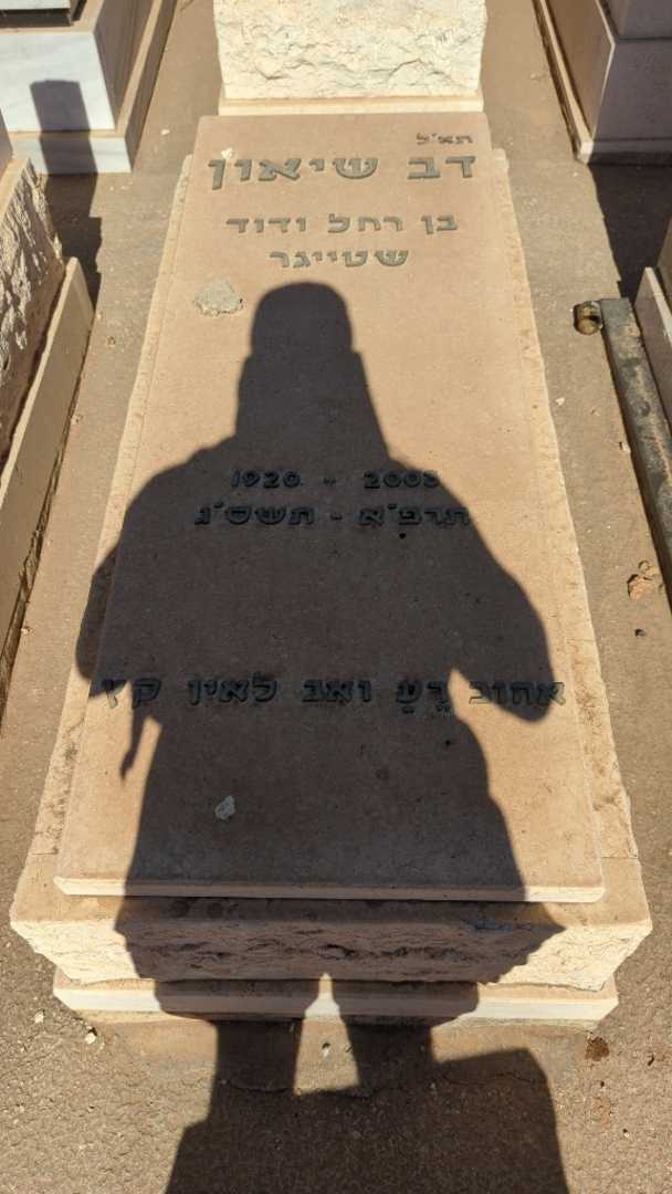 קברו של דב שיאון
