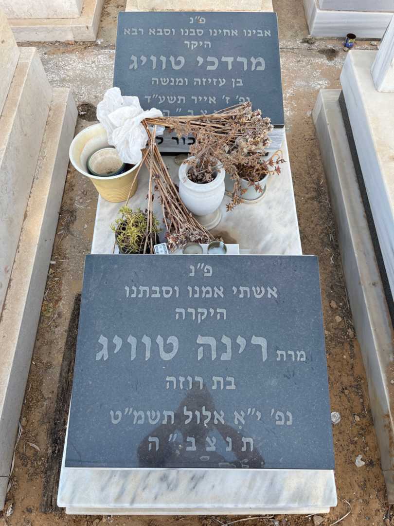 קברו של מרדכי טוויג
