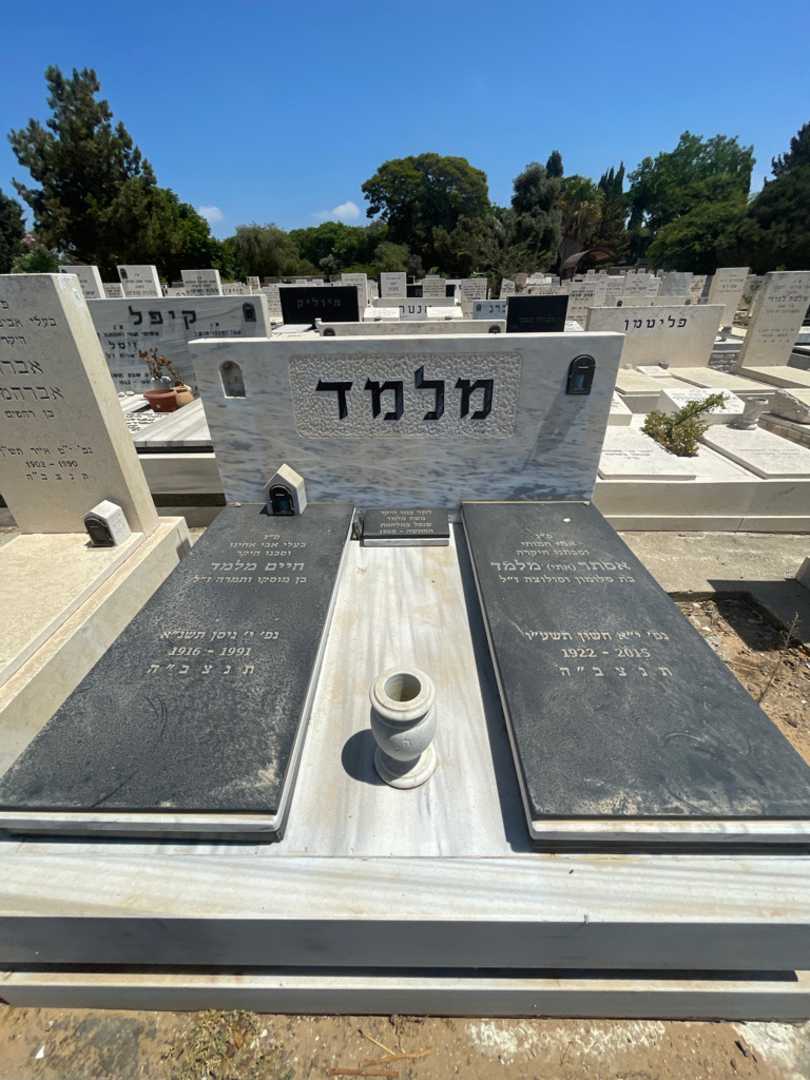 קברו של משה מלמד. תמונה 1