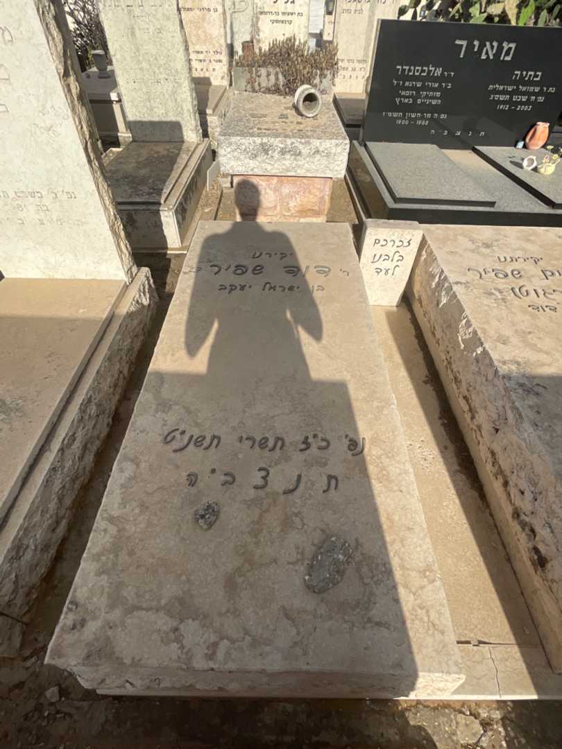 קברו של דוד שפיר. תמונה 2