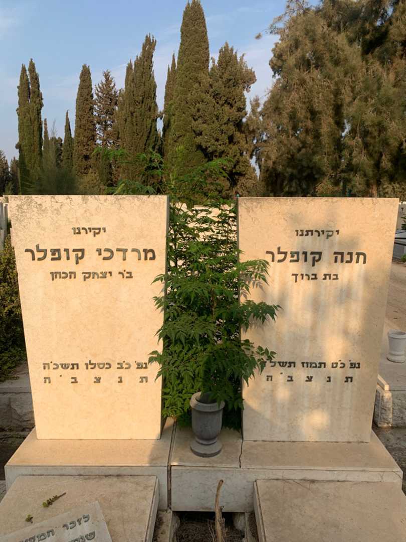 קברו של חנה קופלר. תמונה 1