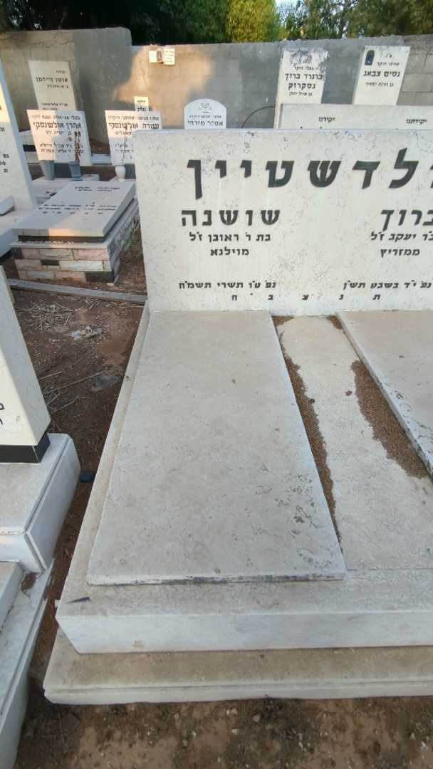 קברו של שושנה גולדשטיין. תמונה 1