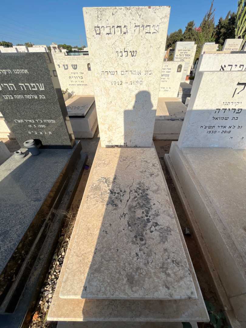 קברו של צביה גרוביס