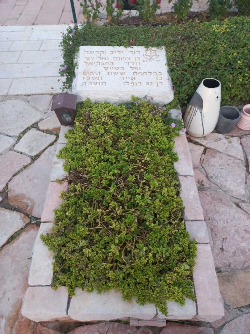 קברו של דוד יריב (קריגר)