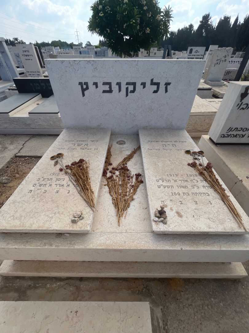 קברו של אשר זליקוביץ. תמונה 1