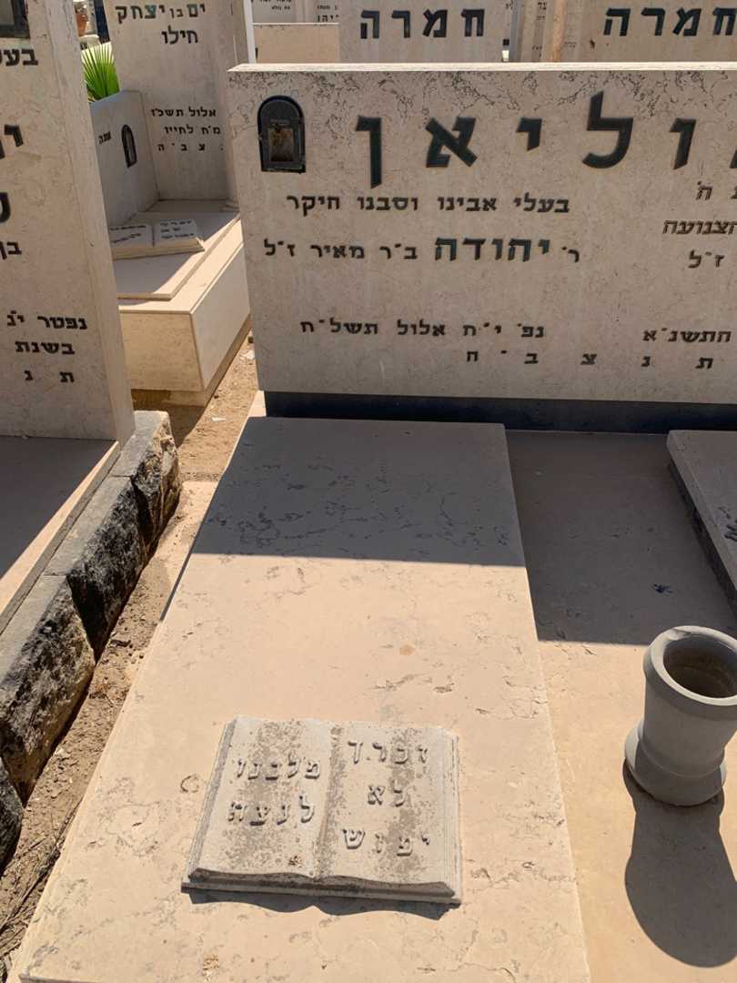 קברו של יהודה שאוליאן. תמונה 2