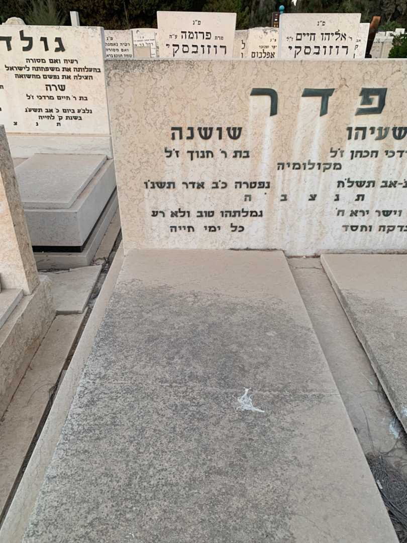 קברו של שושנה פדר. תמונה 2