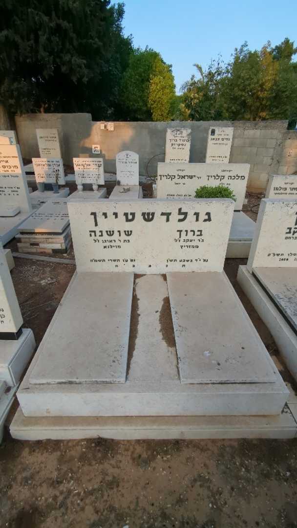קברו של שושנה גולדשטיין. תמונה 2