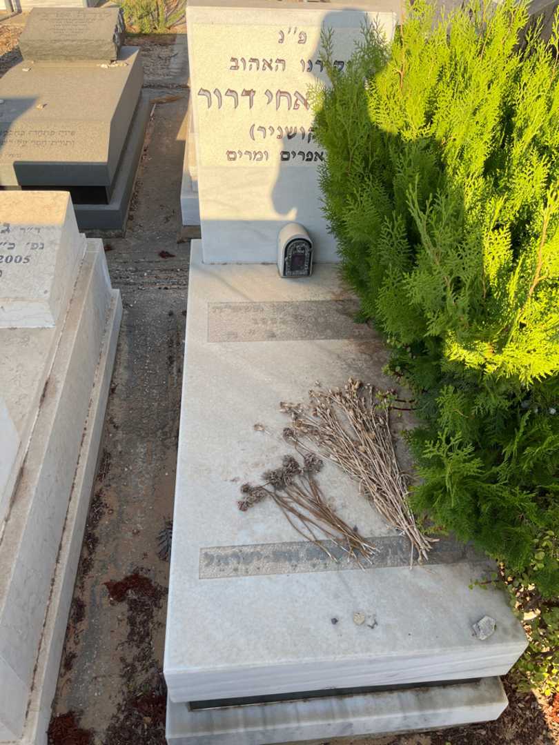 קברו של אחי דרור (קושניר). תמונה 1