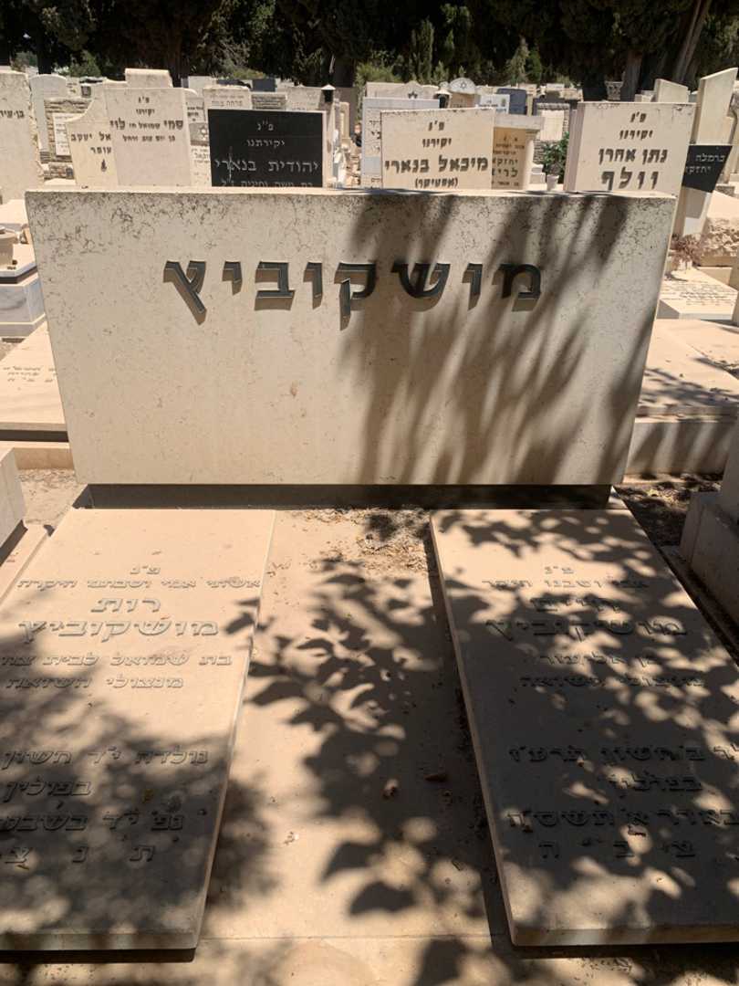 קברו של חיים מושקוביץ. תמונה 1
