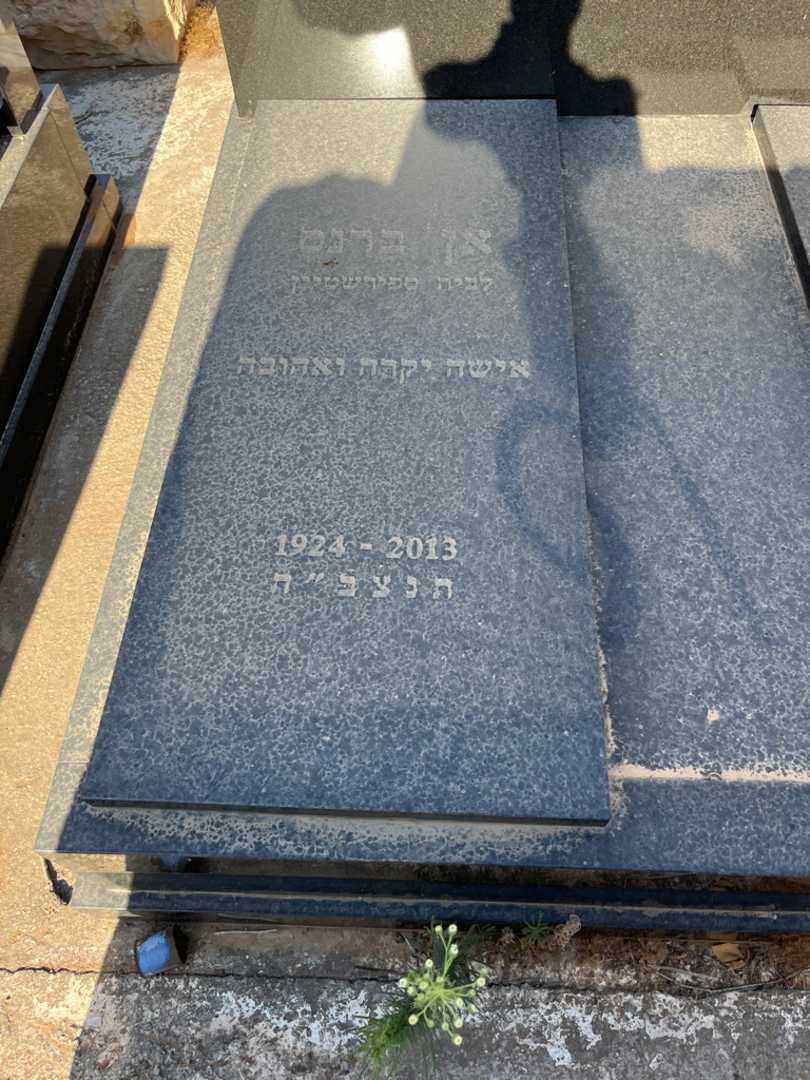 קברו של אן ברנס. תמונה 1