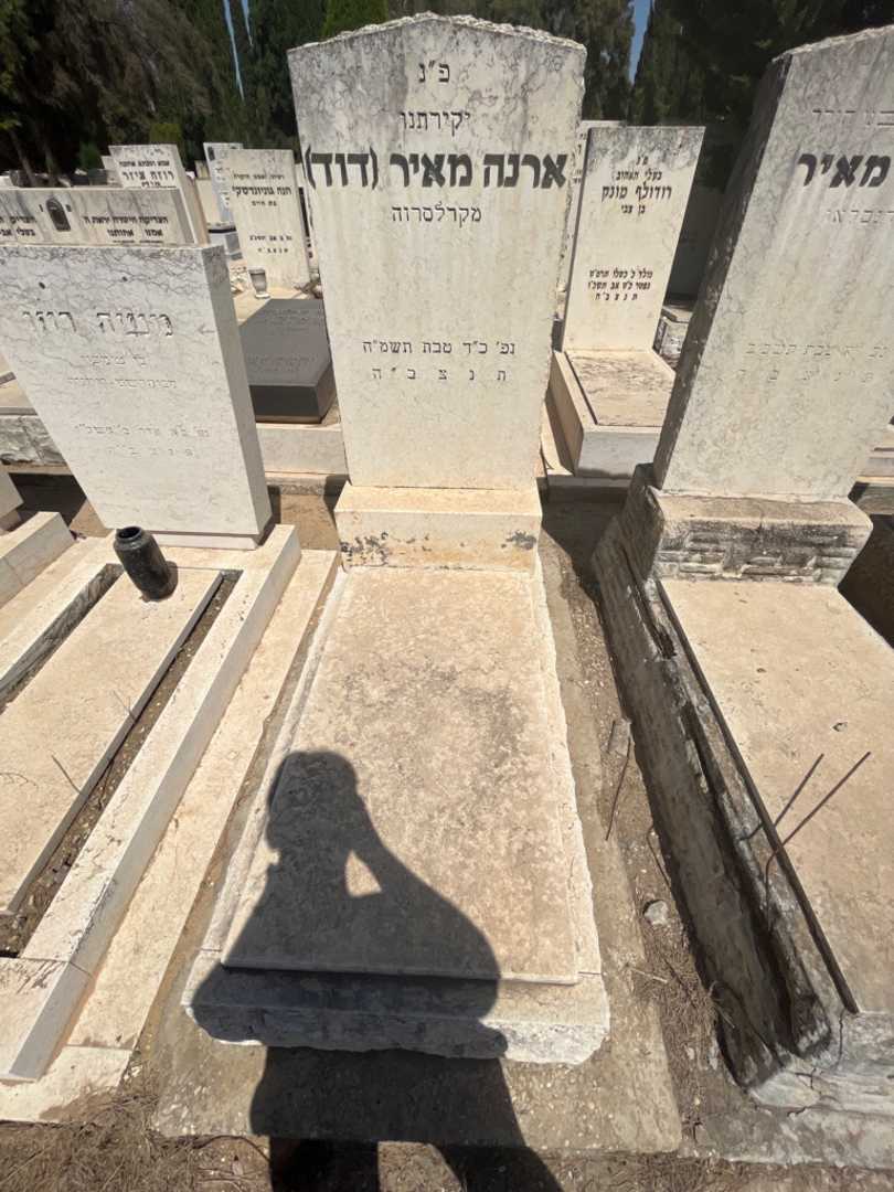 קברו של ארנה "דוד" מאיר. תמונה 1