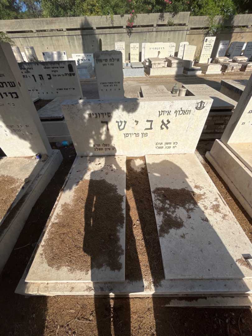 קברו של איתן "פון פרידמן" אבישר. תמונה 1