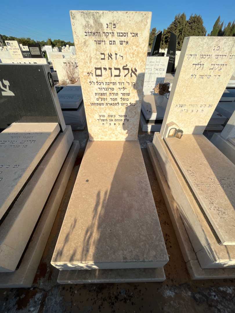 קברו של זאב אלבוים