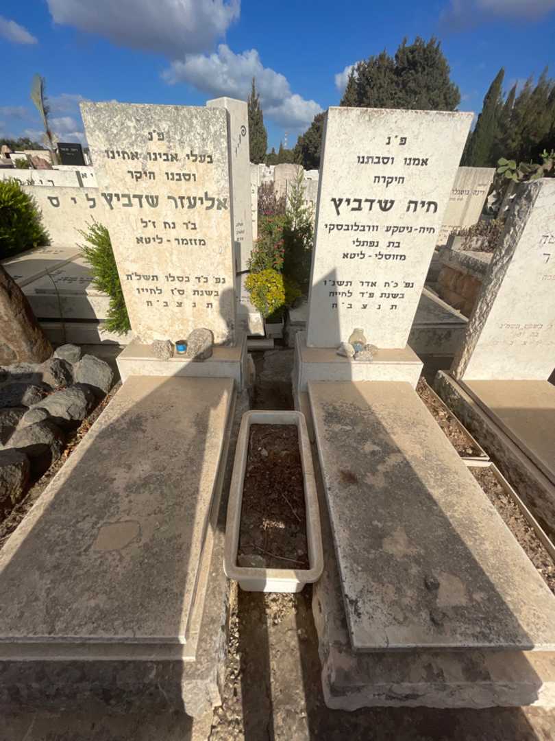 קברו של חיה שדביץ. תמונה 1