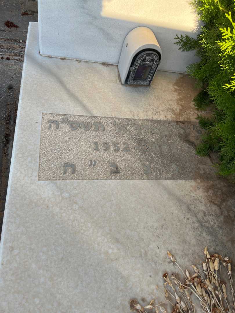 קברו של אחי דרור (קושניר). תמונה 2