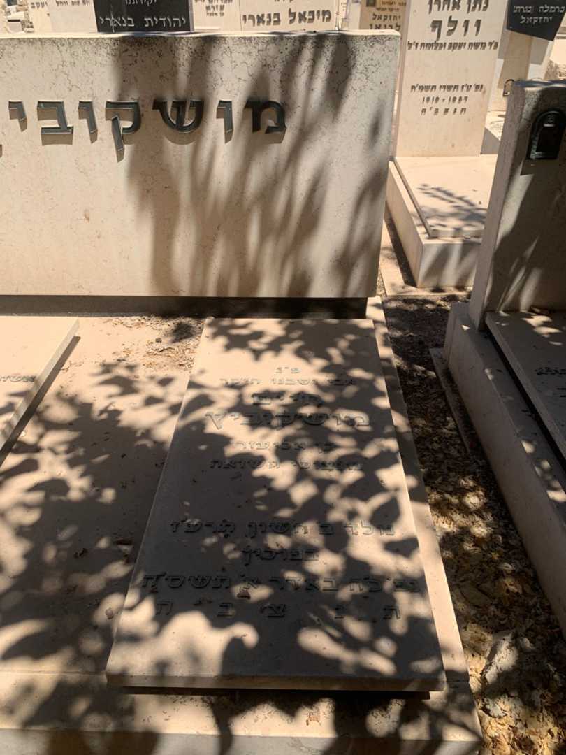 קברו של חיים מושקוביץ. תמונה 2