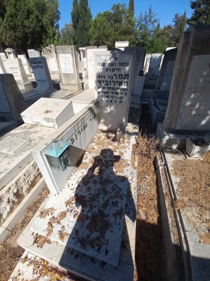 קברו של תמר מאירוביץ