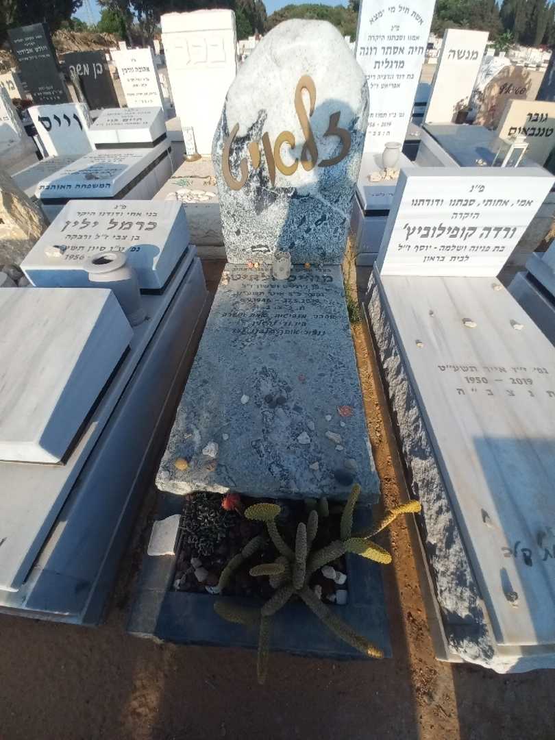 קברו של מוריס זלאיט