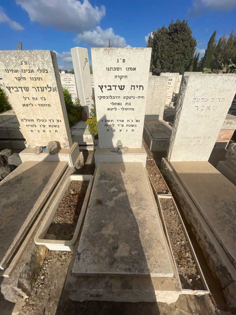 קברו של חיה שדביץ. תמונה 2