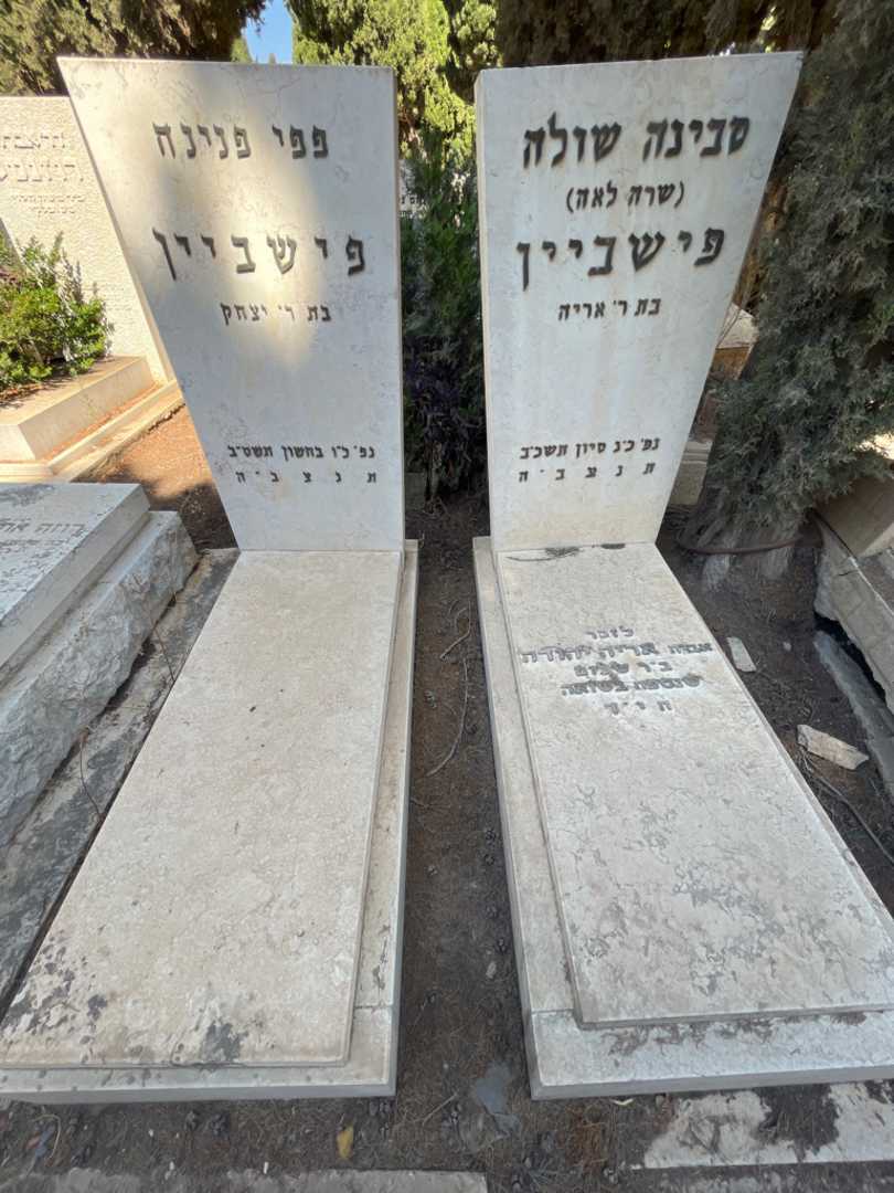קברו של פפי פנינה פישביין. תמונה 2