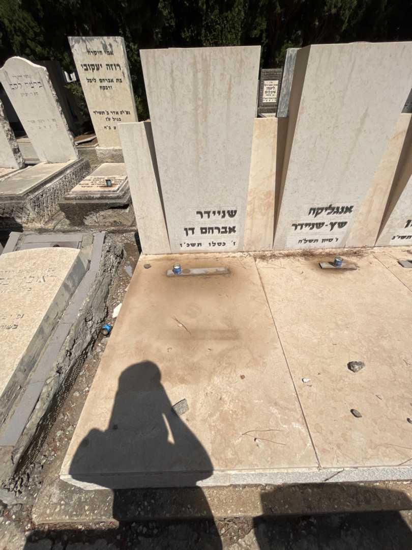 קברו של אברהם דן שניידר. תמונה 1