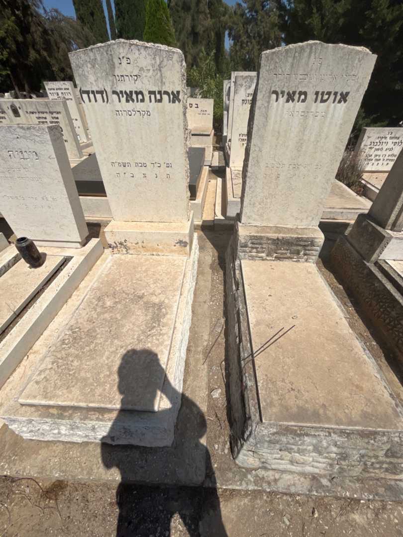 קברו של ארנה "דוד" מאיר. תמונה 2