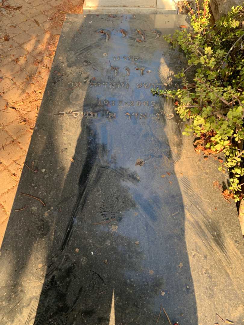 קברו של דוד יניר