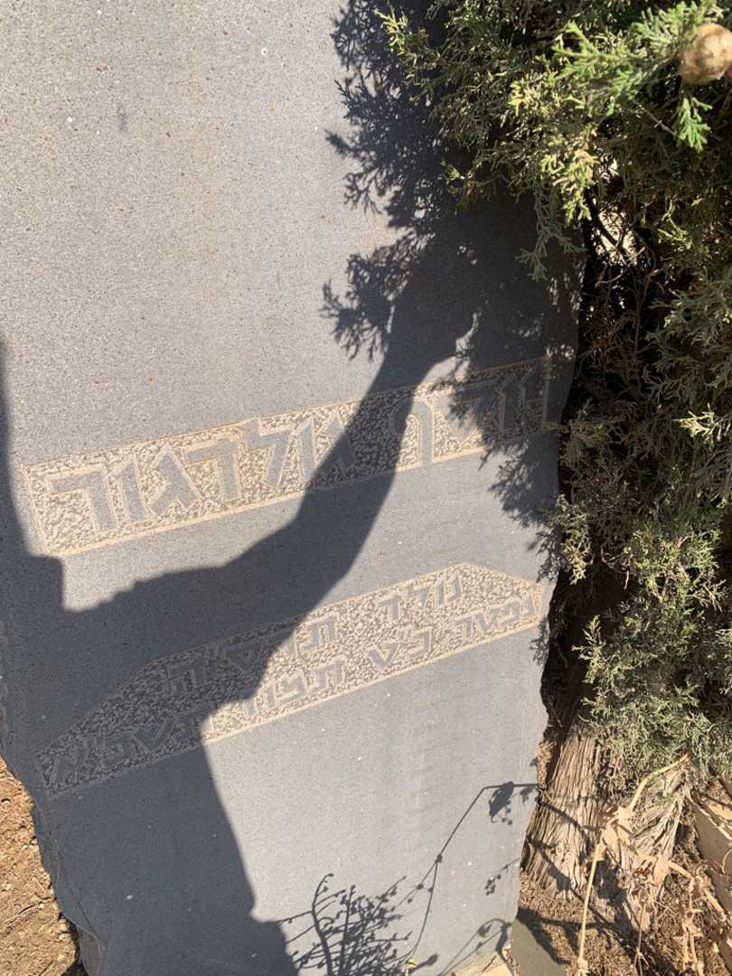 קברו של יוסף גולדגור. תמונה 2