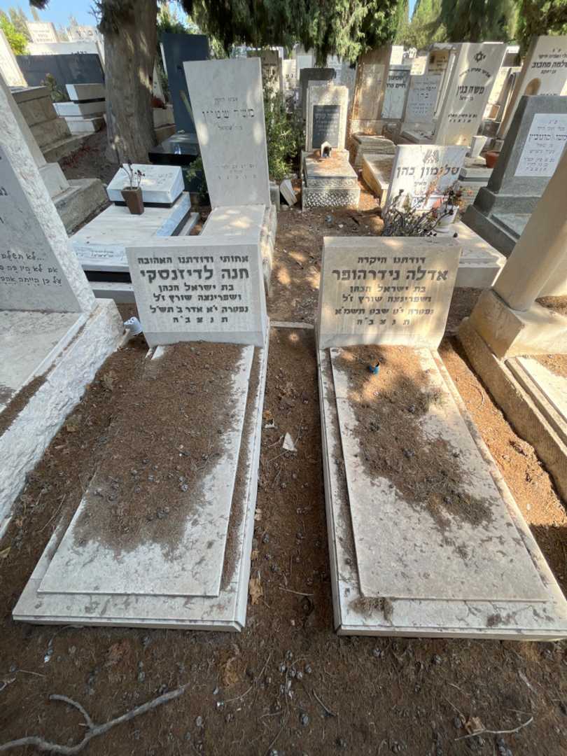 קברו של חנה לדיז׳נסקי. תמונה 2