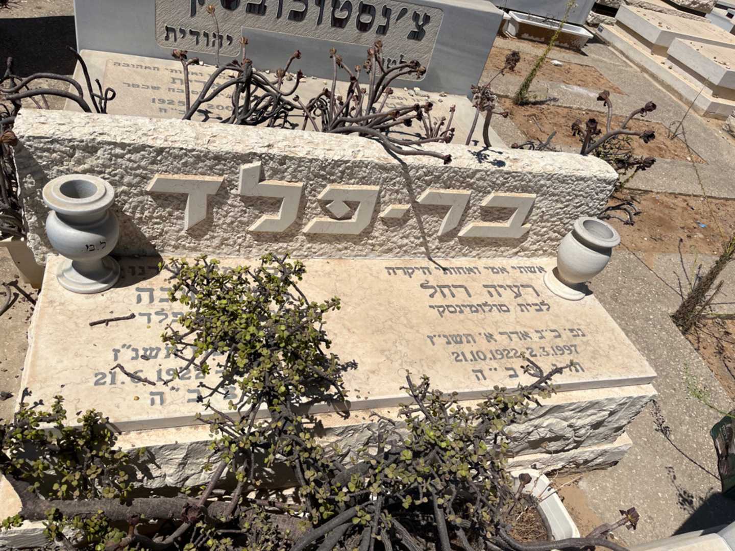 קברו של רעיה רחל בר-פלד. תמונה 1